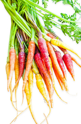 VibeX ® VMR-499 Carrot Baby Rainbow Mixture Seed(500 per packet)