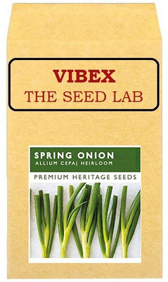 CYBEXIS Heirloom Spring Onion Hybrid Seeds4000 Seeds Seed(4000 per packet)