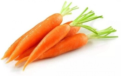 VINSIN नारंगी गाजर Orange Carrot Seed(500 per packet)
