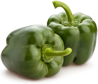 VibeX ® XLR-461 California Wonder Capsicum Bell Pepper Seeds Seed(200 per packet)