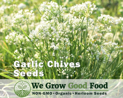 Biosnyg Non GMO Garlic Chives Vegetable Seeds For Gardening-(750 Seeds) Seed(750 per packet)