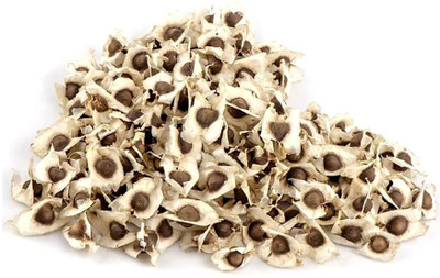 CYBEXIS PAU-45 - PKM 2 Hybrid (Drumstick) - (1350 Seeds) Seed(1350 per packet)