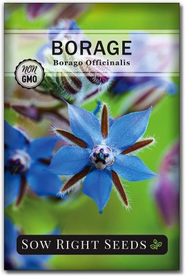 VibeX LXI-56 - Borage - (1350 Seeds) Seed(1350 per packet)