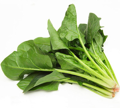 CYBEXIS F1 Hybrid Small Leaf Spinach Seeds1000 Seeds Seed(1000 per packet)