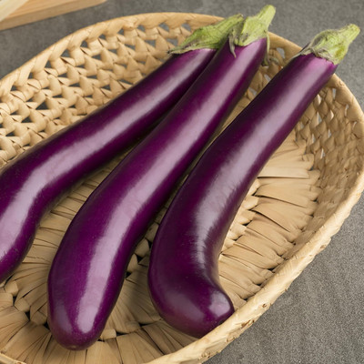 Biosnyg Early-Maturing Brinjal - Long Purple ( Seeds) Seed(5000 per packet)