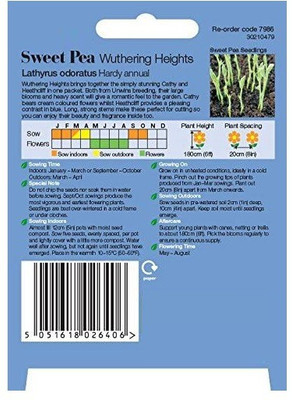 CYBEXIS Sweet Pea Wuthering Heights Seed(50 per packet)