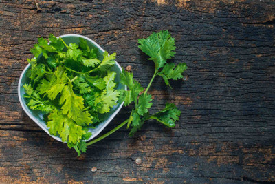 CEZIUS (Dhaniya Beej) for Sowing Purpose Cilantro/Coriander Herbs-a5N Seed(340 per packet)