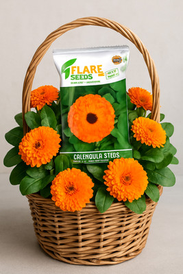 FLARE SEEDS Calendula flower seeds Seed(200 per packet)