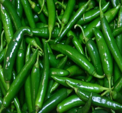 Wellspring Chilli Seeds Seed(150 per packet)