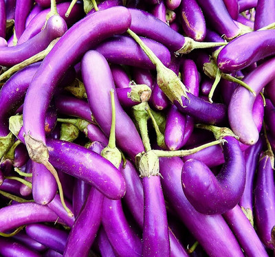 Biosnyg Heat Tolerant Plant & Grow Long Purple Eggplant Brinjal ( Seeds) Seed(2000 per packet)
