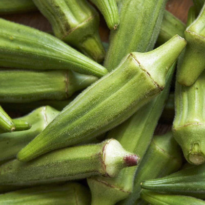 WILLVINE Spineless Okra Seeds-[500 Seeds] Seed(500 per packet)