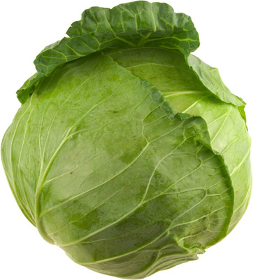 Cloud Farm cabbage Seed(25 per packet)