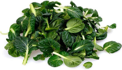 CYBEXIS GBPUT-44 - Tatsoi Mustard Green - (750 Seeds) Seed(750 per packet)