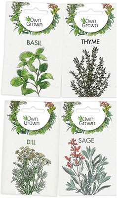 CYBEXIS 4 - Varities Seeds Combo-Basil,Thyme,Dill,Sage Seed(10 g)