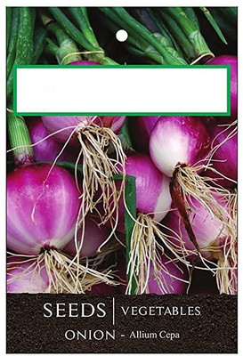 KNESSiN Onion Seed(200 per packet)