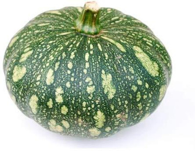 CRGO DIOART-CFR-™Vegetable Seeds Pumpkin Kaddu-100 SEEDS-PS993 Seed(100 per packet)