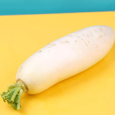 VINTI Organic White Radish मूली के बीज Seed(300 per packet)