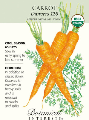 Qualtivate DXL-2AT Danvers 126' Carrot Seeds Seed(300 per packet)