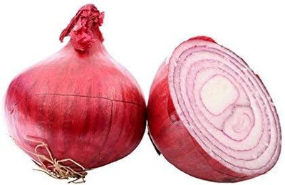 Qualtivate ICRA6-A Red Grano Onion Non GMO Seed(500 per packet)
