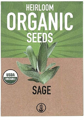 KNESSiN DLX-71 Sage Seed(100 per packet)