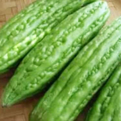 CYBEXIS Bitter Gourd Melon Seeds400 Seeds Seed(400 per packet)