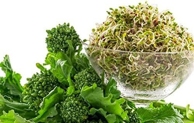 Qualtivate XXX-1A Broccoli Rapini Raab Heirloom Seeds Seed(300 per packet)