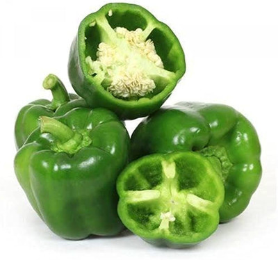 BDSresolve capsicum vegetable seeds/capsicum seed 32 Seed(32 per packet)