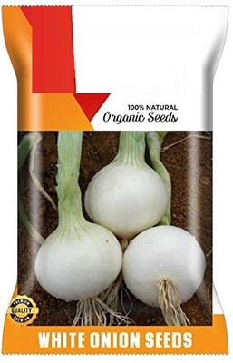 Qualtivate PUA-3A GREEN WHITE ONION SEEDS Seed(500 per packet)