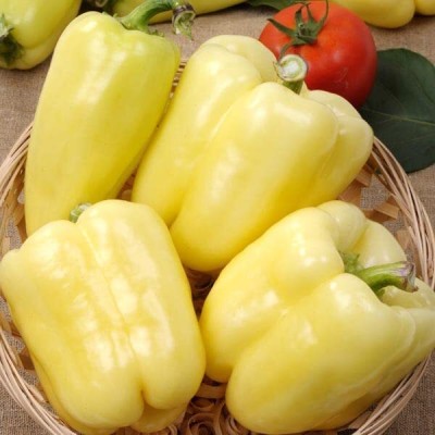 TRICONE Hybrid White Capsicum Shimla mIrch शिमला मिर्च के बीज 250 Seeds 
DF90 Seed(250 per packet)