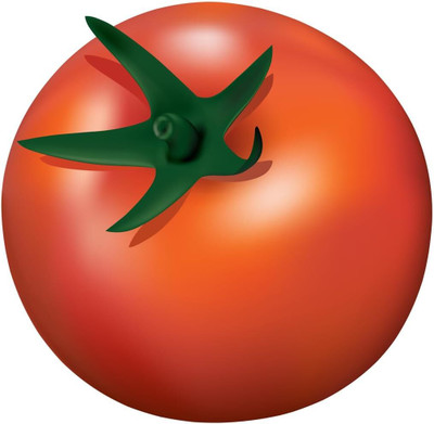 Biosnyg Organic Tomato Marglobe Seeds For Gardening - (2000 Seeds) Seed(2000 per packet)