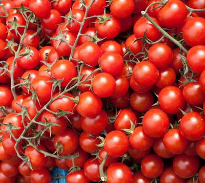 LPR TOMATOO,TAMATARR Seed(100 per packet)