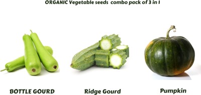 SUAA Bottle Gourd, Ridge Gourd, Pumpkin Seeds, Combo Pack Of 3 In 1 Seed(10 per packet)