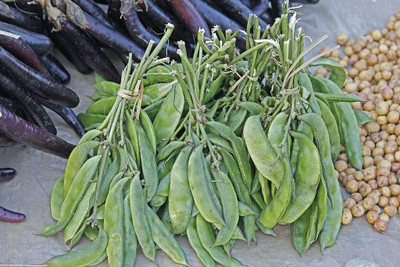 Aywal SEMPHALI Seed(7 per packet)