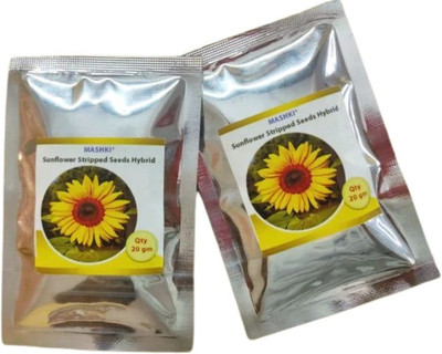 MASHKI Sunflower Seeds For Gardening at Home/ Surajmukhee Ke Beej (PACK OF 2) Seed(40 g)
