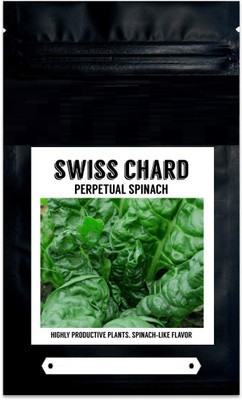 CYBEXIS LX-47 - Perpetual Spinach Swiss Chard - (2250 Seeds) Seed(2250 per packet)