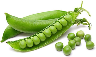 Qualtivate RES-1A Sugar Snap Pea, Organic Seed(200 per packet)