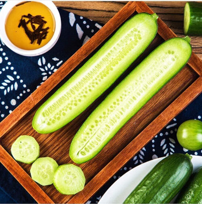 KNESSiN Cucumber Full Vitalitys Seed(200 per packet)