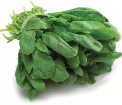 MYLAWN High Quality Spinach Vegetables Seed(2000 per packet)