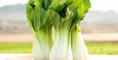 Atlus Pak Choi Organic Vegetable Seed(80 per packet)