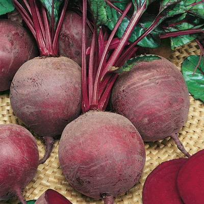 Arshiayat Beetroot Seed packet of Seed(30 per packet)