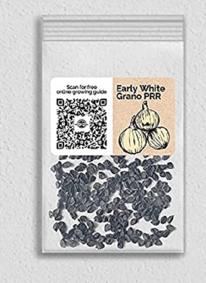 Qualtivate RES-7A Early White Grano PRR Onion Seed(500 per packet)