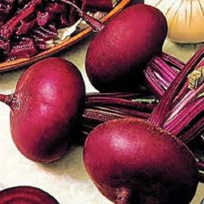 MYLAWN Organic Red Beauty Beetroot Seed(1500 per packet)