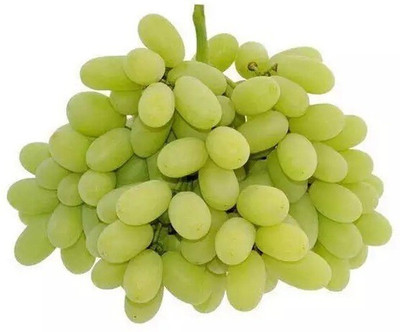 Quentova Extra Sweet green grapes-VISHVA-3B Seed(100 per packet)