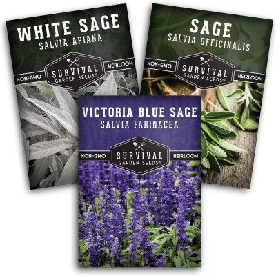 Qualtivate FXL-5AT White Sage,Culinary Sage,Blue Sage Seed(100 per packet)