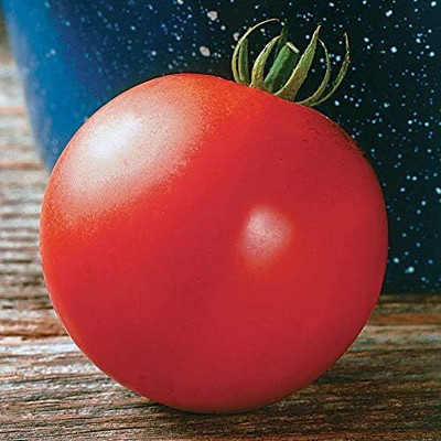 Qualtivate PUA-4A Mountain Fresh Plus Hybrid Tomato Seed(300 per packet)
