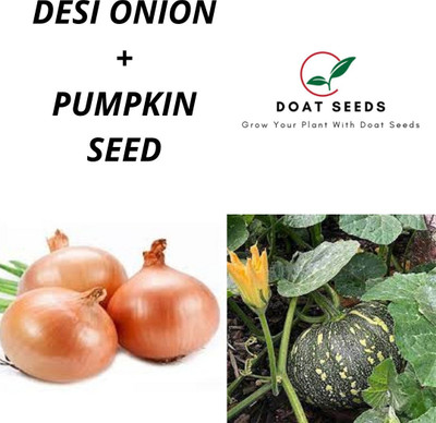 Cloud Farm Desi Onion With Pumpkin 2 Varieties of Vegetable Seeds Combo (Pack of 100) Seed(100 per packet)