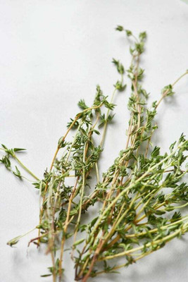 XOLDA Organic thyme herb Seed(27 per packet)