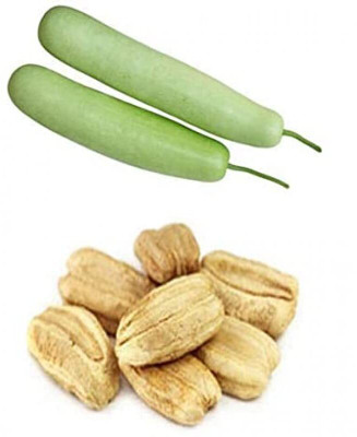 Qualtivate PUA-9A Lauki-Ghiya-Lau Hybrid Vegetable Seeds Seed(50 per packet)
