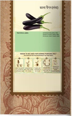 CYBEXIS KGF -71 - Long Black Brinjal Vegetable - (1350 Seeds) Seed(1350 per packet)