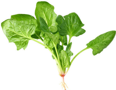 Kodali 46 Pcs-Spinach Pui Shak Seeds Seed(46 per packet)